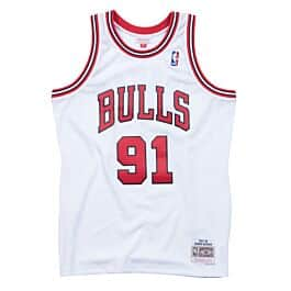  Mitchell & Ness Dennis Rodman Chicago Bulls Swingman Jersey  Black (Small) : Sports & Outdoors