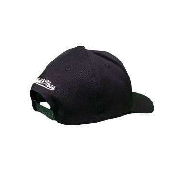 NBA The Champ Snapback Nets