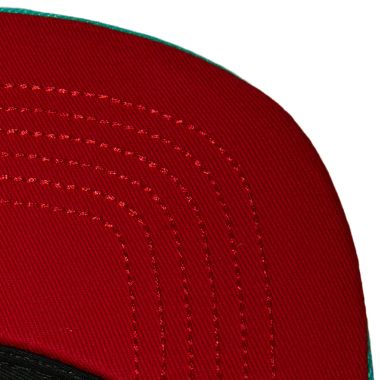 Front Face Snapback HWC Vancouver Grizzlies