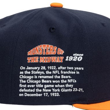 Team Origins Snapback Chicago Bears