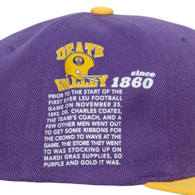 Team Origins Snapback Louisiana State University