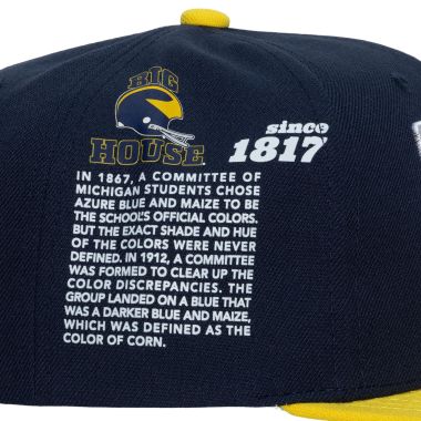 Team Origins Snapback University of Michigan