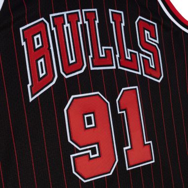 Authentic Dennis Rodman Chicago Bulls 1995-96 Jersey - Shop