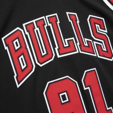 Dennis Rodman Chicago Bulls Fanatics Authentic Autographed Black and Red  Pinstripe Mitchell & Ness Replica Jersey