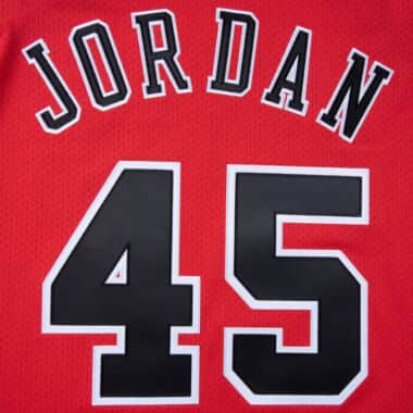Authentic Jersey Chicago Bulls 1994-95 Michael Jordan