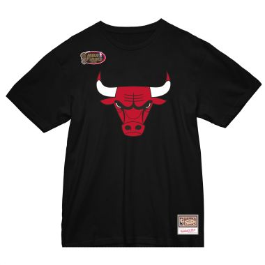 NBA Team Logo Tee Bulls