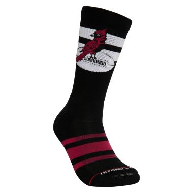 NFL Lateral Crew Socks Cardinals