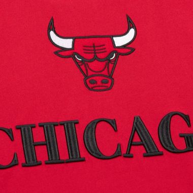 NBA Team OG 3.0 T-Shirt Chicago Bulls