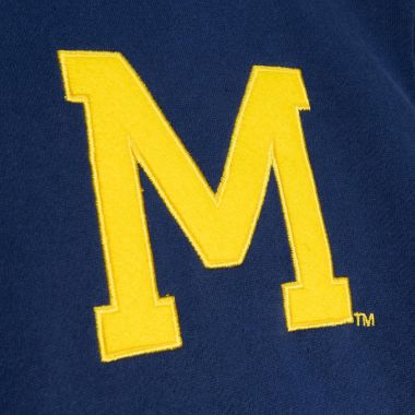 Champ City Fleece Hoodie University Of Michigan