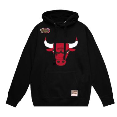 NBA Team Logo Hoody Bulls