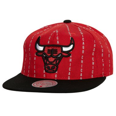 NBA City Pinstripe Deadstock Bulls