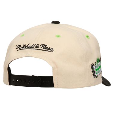 NBA Overspray Pro Snapback Cap Boston Celtics