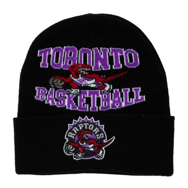 Team Origins Knit HWC Toronto Raptors