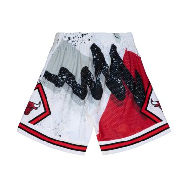 Mitchell & Ness Heat Hyp Hoops Shorts