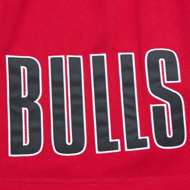NBA Team OG 2.0 Fashion Shorts 7" Vintage Logo Bulls