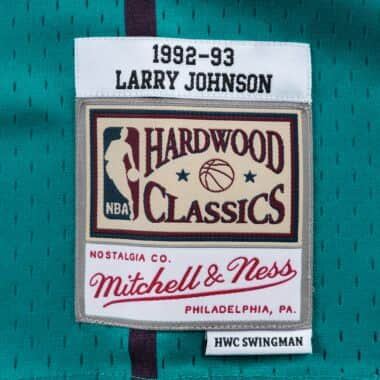 Swingman Jersey Charlotte Hornets Road 1992-93 Larry Johnson