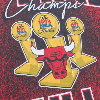NBA Champ City Sublimated Ss Tee Bulls