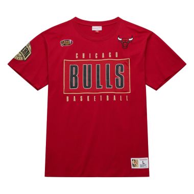 NBA Team OG 2.0 Premium Short Sleeve T-Shirt Vintage Logo Chicago Bulls