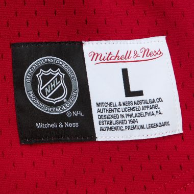 NHL On The Clock Mesh Button Front Current Logo Red Wings