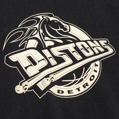 NBA Women's Short Sleeve Boxy Crop Tee Detroit Pistons