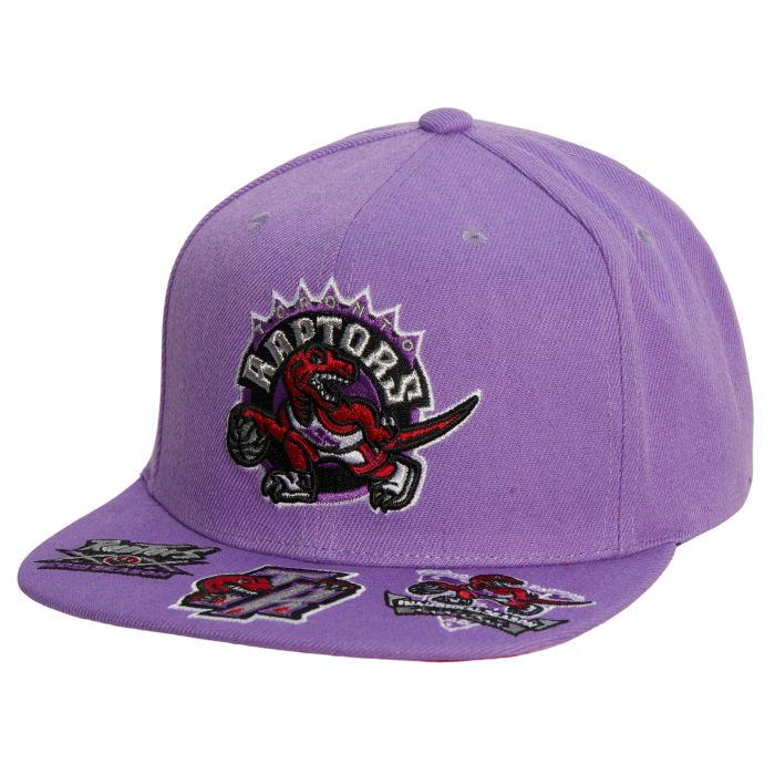 NBA Front Face Snapback HWC Raptors