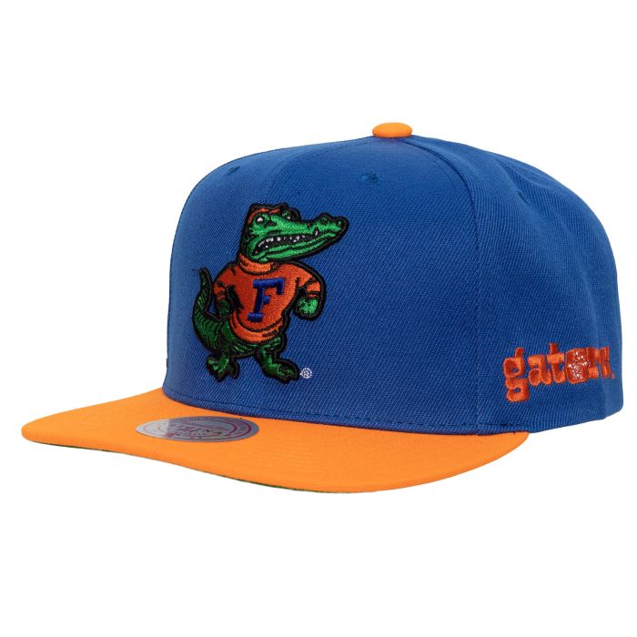 Team Origins Snapback University of Florida