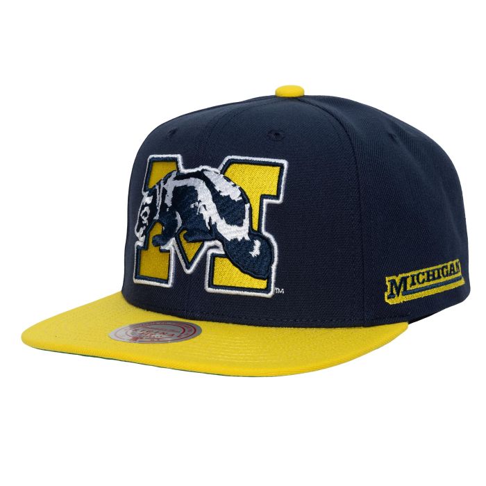 Team Origins Snapback University of Michigan