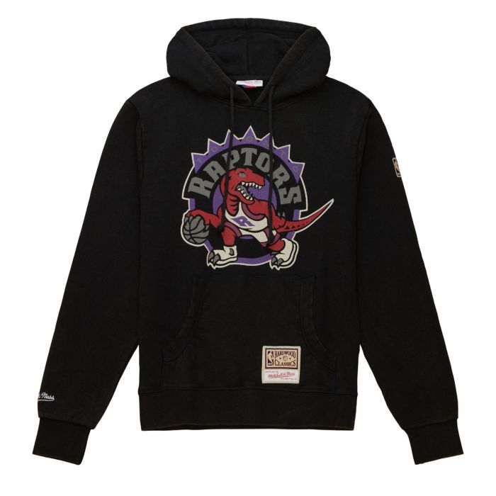 Worn Logo Hoodie Toronto Raptors