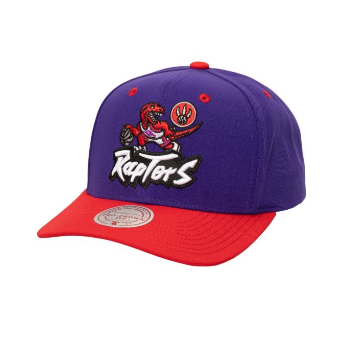 NBA All in 2.0 Snapback Cap Toronto Raptors